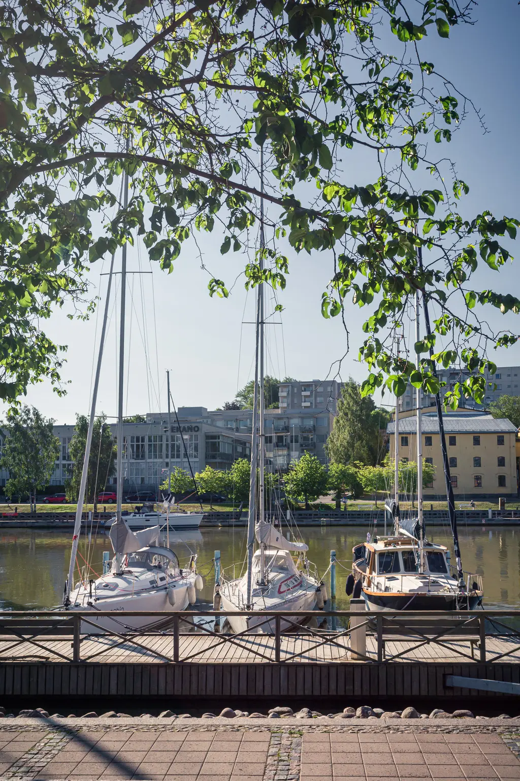 Yachten am Anleger, umgeben von grünen Blättern. Im Hintergrund sind moderne und historische Gebäude sowie ein ruhiger Wasserkanal sichtbar.