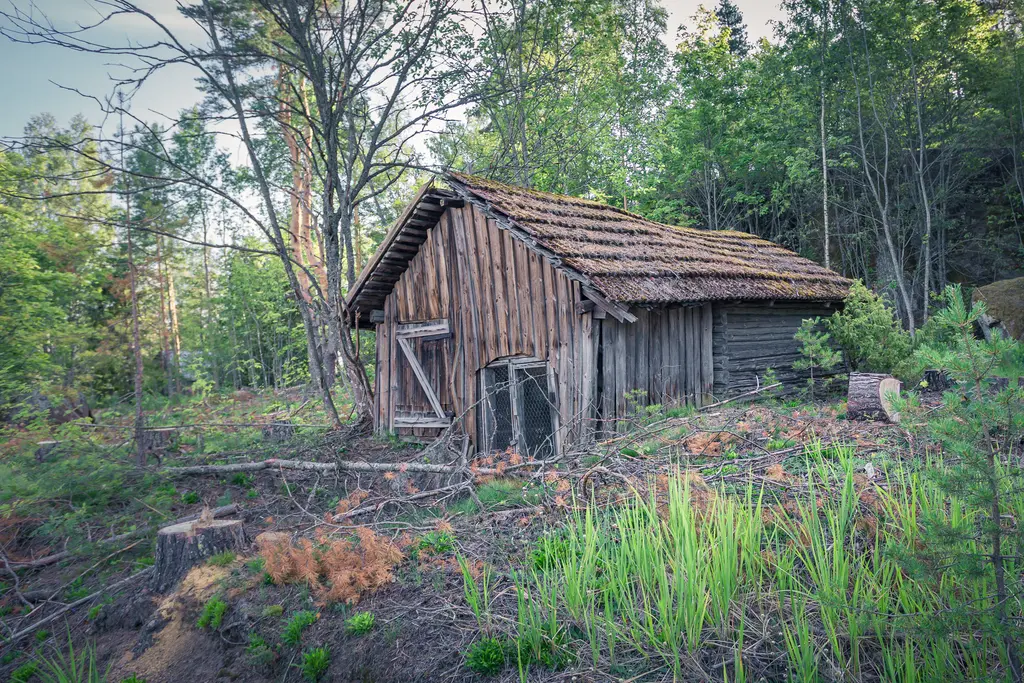 An old wooden cabin in a forested area of Virolahti, surrounded by trees and greenery, showcasing rustic charm.