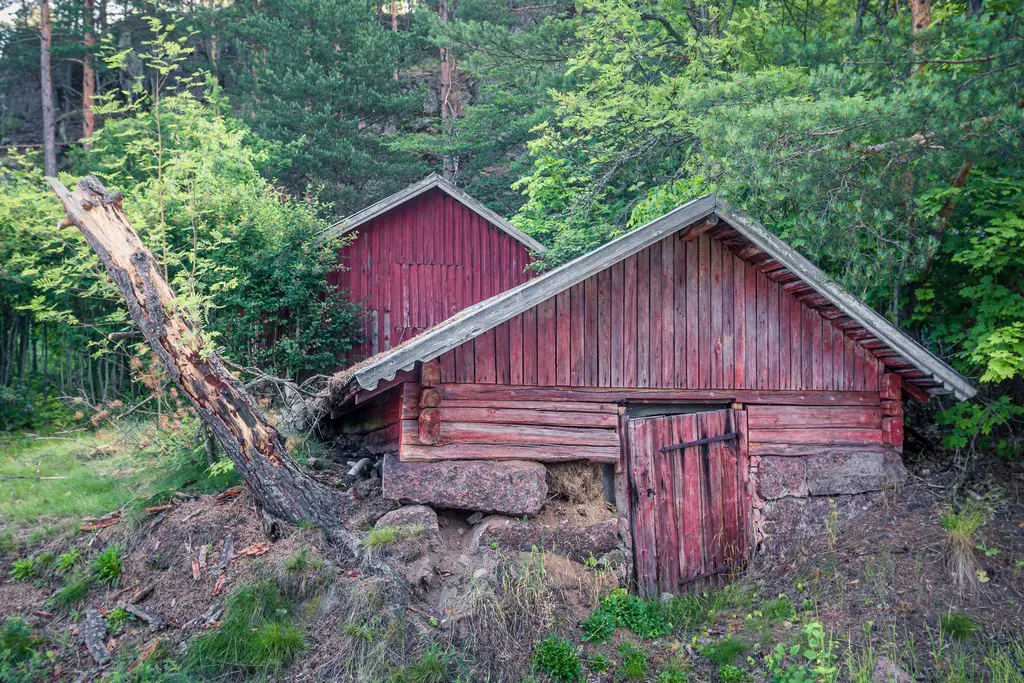 An abandoned red wooden cabin nestled in lush greenery in Virolahti, Finland, with a fallen tree nearby.