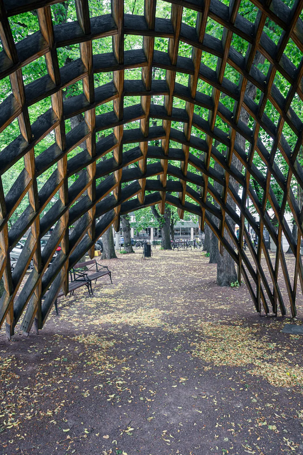 Holzlaubenstruktur mit gewölbtem Dach inmitten eines Parks, umgeben von grünen Bäumen und herabgefallenen Blättern auf dem Boden.