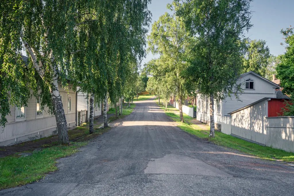Schmale, ruhige Straße gesäumt von Birken und Holzgebäuden, die nach oben führt. Grüne Wiesen neben der Straße.
