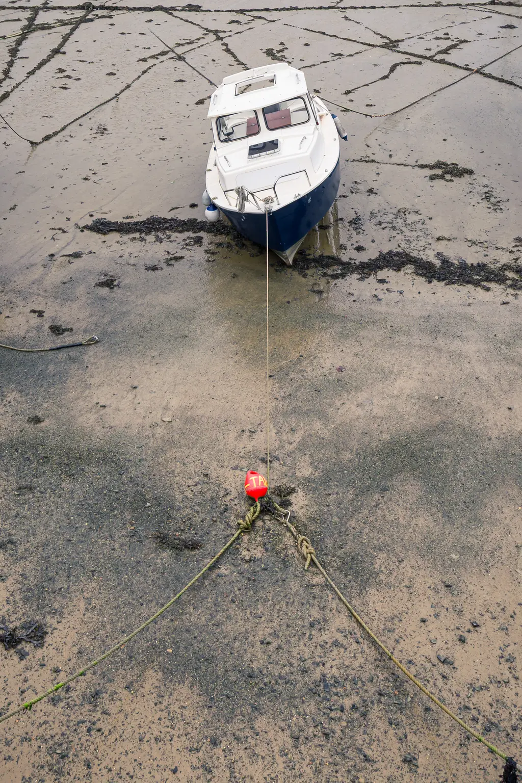 Weißes Boot auf trockenem, sandigem Boden, mit einem roten Schwimmkörper und Seil befestigt. Umgebende Fläche zeigt Spuren und Algen.