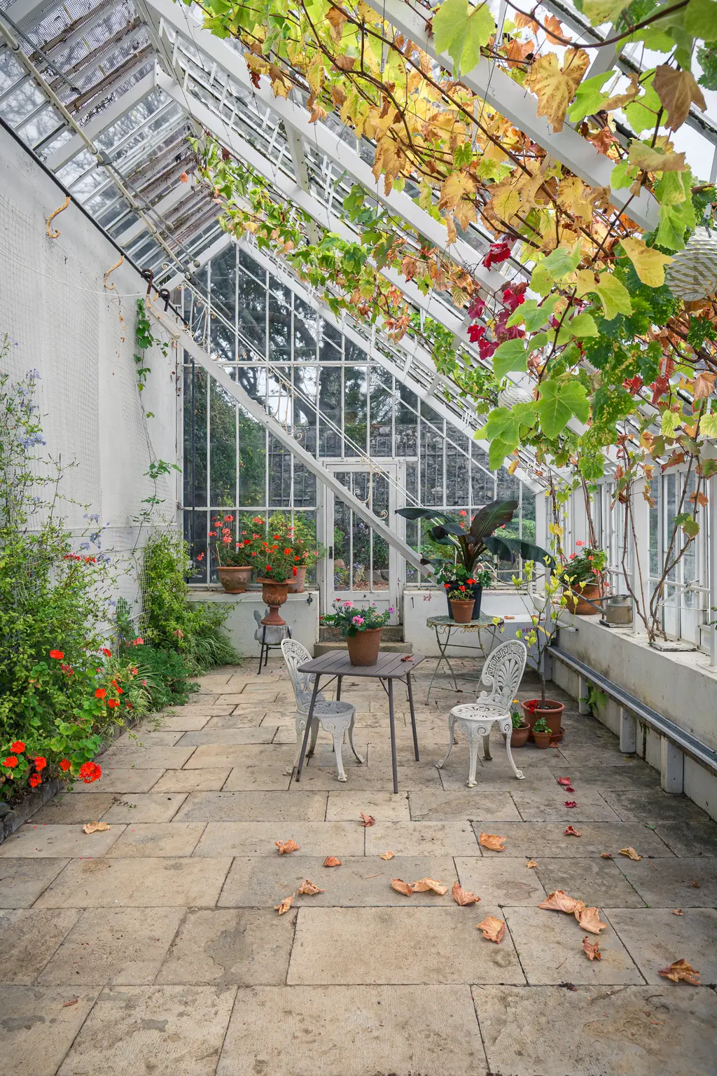 A cozy greenhouse with a stone floor, potted plants, and metal chairs under a glass ceiling adorned with colorful autumn leaves.