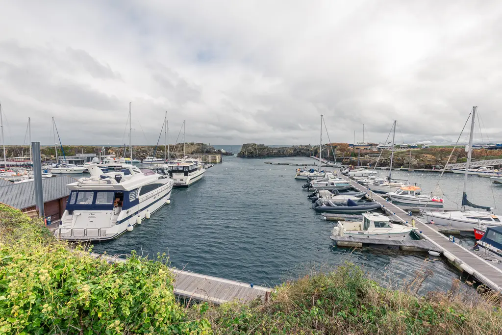 A scenic marina with various boats docked along a calm waterway, surrounded by lush greenery and cloudy skies.