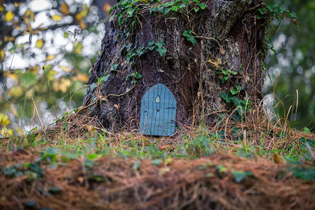 A whimsical miniature door set into a tree trunk, surrounded by green foliage and pine needles.