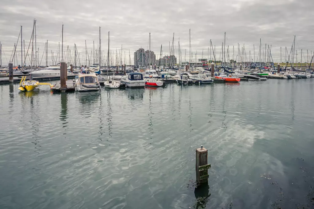 Boats rest quietly in the water of a marina, surrounded by masts and modern buildings in the background.