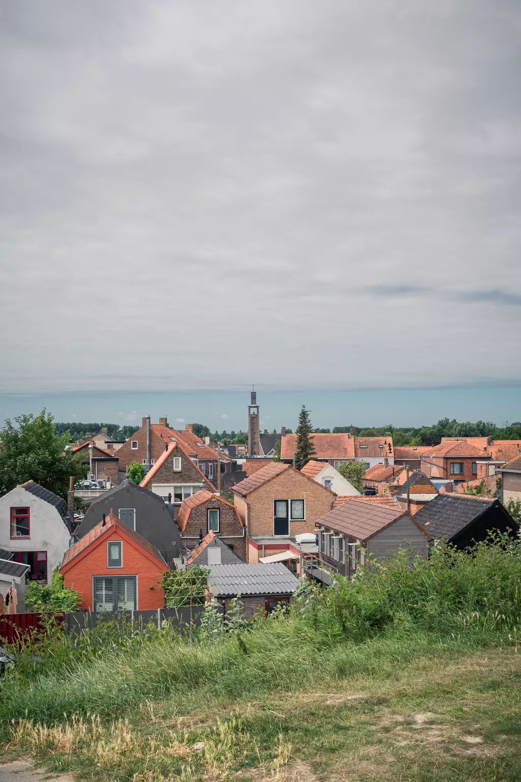 Rooftops of colorful houses in a small town, surrounded by trees and grass, under a cloudy sky.