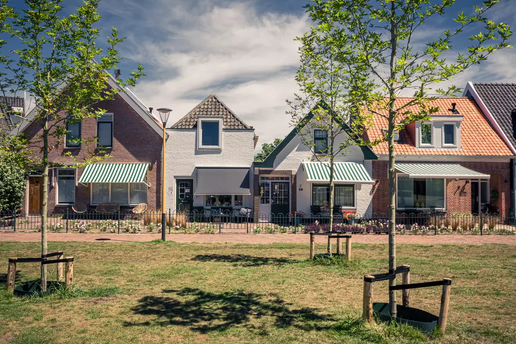 Green lawn with young trees and a street lined with houses featuring colorful roofs and awnings in a quiet residential area.