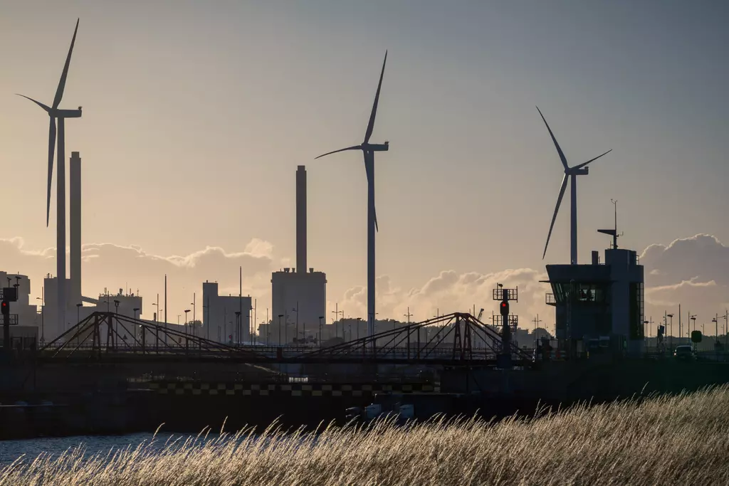 Wind turbines stand against an industrial backdrop, illuminated by the evening sun. Grasses sway in the foreground.