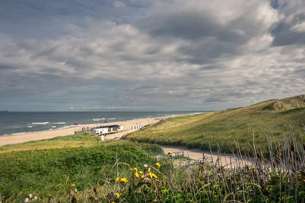 Strand bei Callantsoog: Sanfte Hügel und Blumen führen zum Strand, wo Menschen entlang der Küste spazieren und das Meer in der Ferne leuchtet.