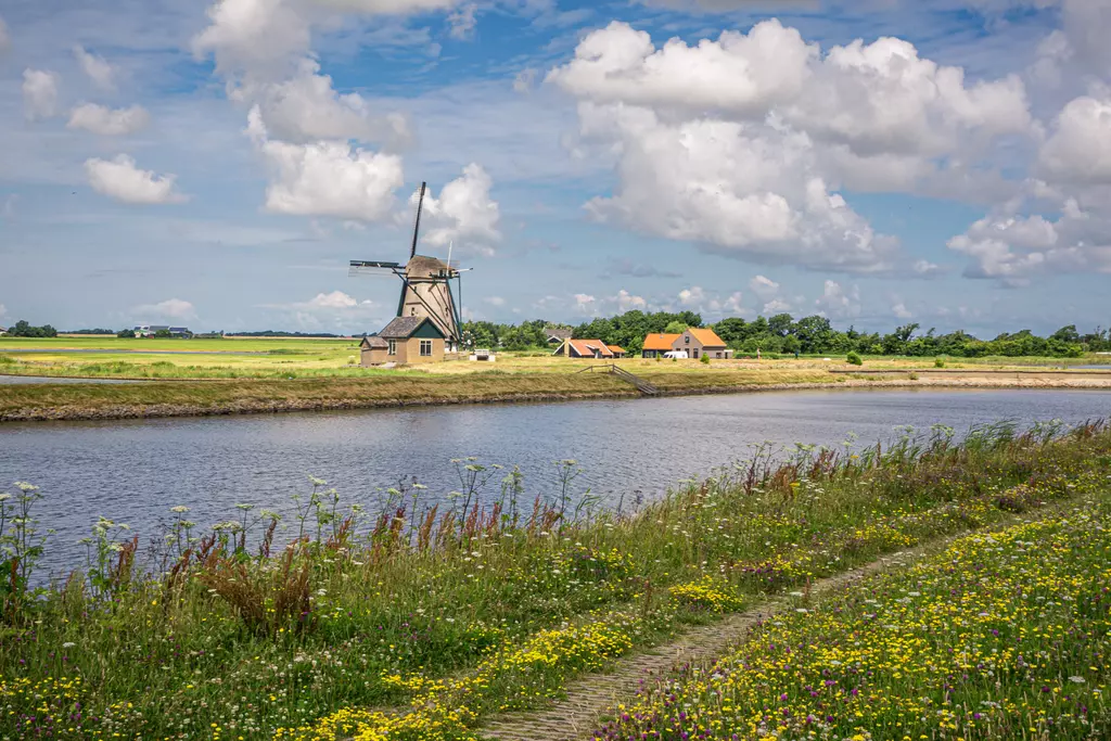 Mühle auf Texel: Eine alte Windmühle steht neben einem ruhigen Gewässer, umgeben von bunten Wiesenblumen und grünen Feldern.