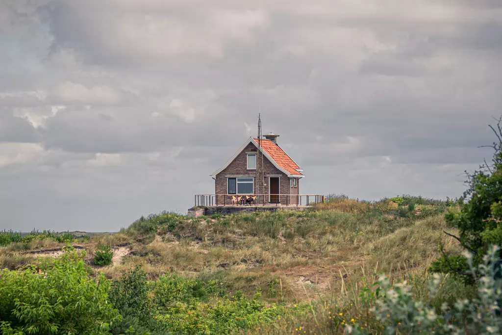 Kleines Ferienhaus auf einer Düne: Das charmante, braune Holzhaus mit rotem Dach steht auf einer grünen Düne zwischen Sträuchern.