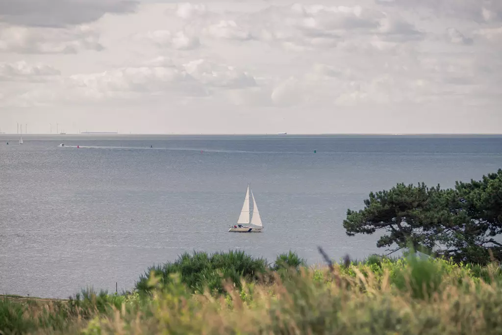 Segelboot auf Terschelling: Ein einzelnes Segelboot gleitet ruhig über das Wasser, umgeben von sanften Wellen und grünem Ufervegetation.