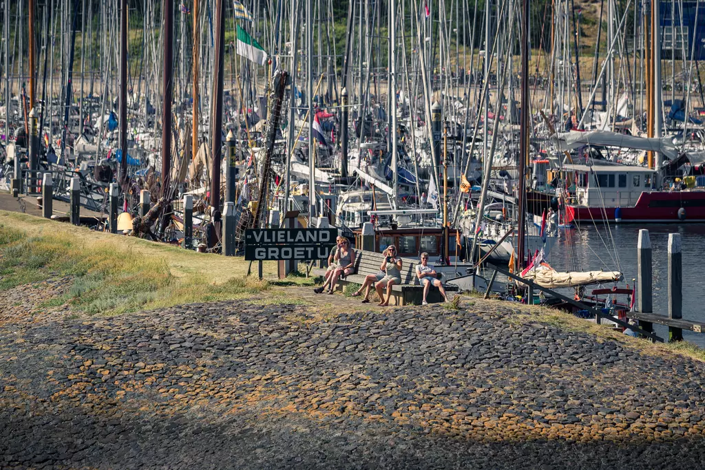 Vlieland harbor: Several people are sitting on grass by the water, surrounded by numerous boats and masts in the background.