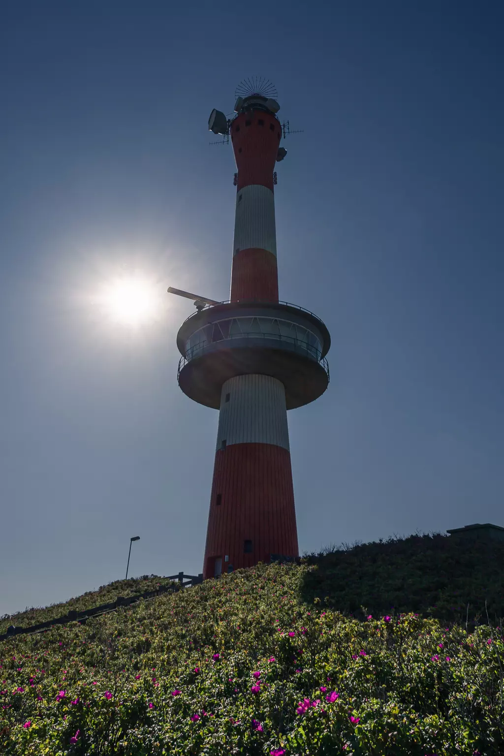 Ein hoher Leuchtturm mit rot-weißen Streifen steht vor einem klaren Himmel, die Sonne scheint hinter ihm, umgeben von grünen Sträuchern.