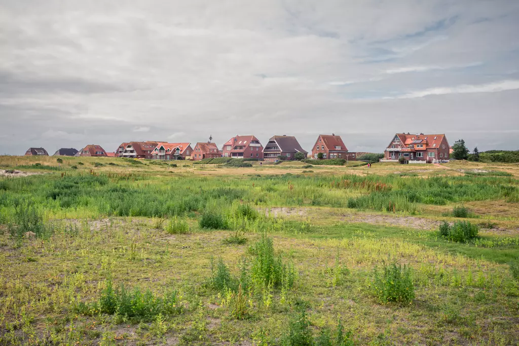 Green meadow with scattered grass, a row of houses with red roofs in the background under a cloudy sky.