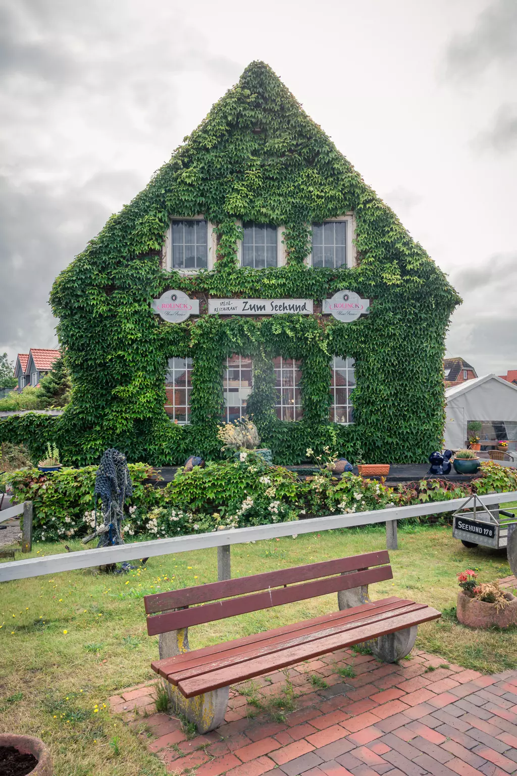 A house covered in green ivy stands against a blue sky, with a wooden bench in the foreground.