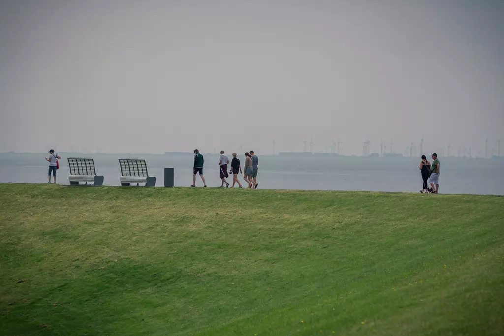 Green lawn with several people walking along a path by the coast. Benches are visible in the background, with water behind them.