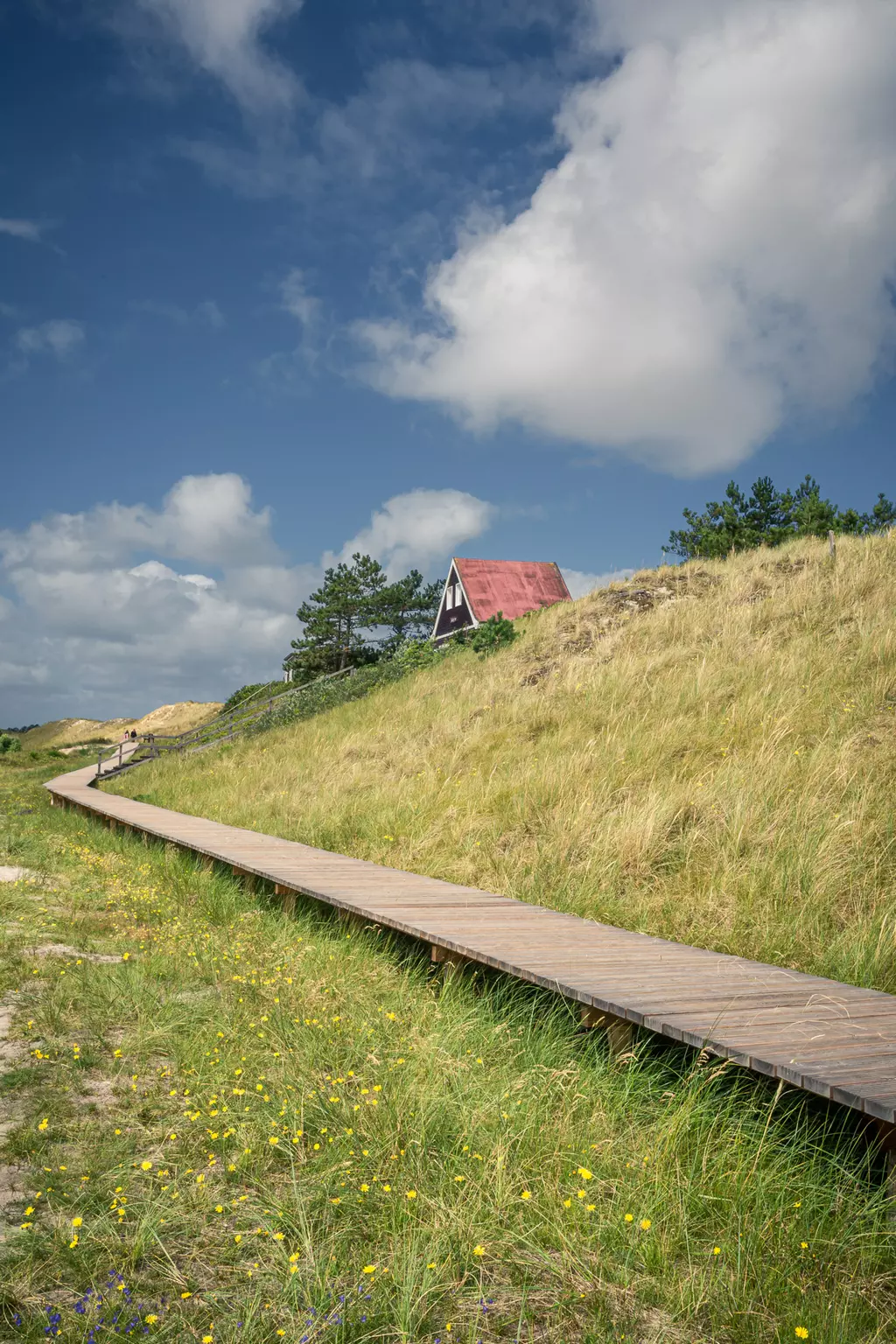 Ein Holzweg führt durch hohe Gräser zu einem kleinen Haus mit rotem Dach unter einem wolkigen Himmel.