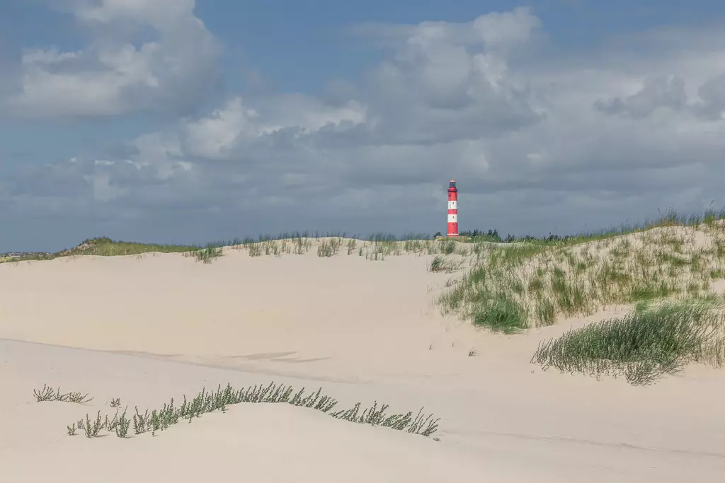 Amrum