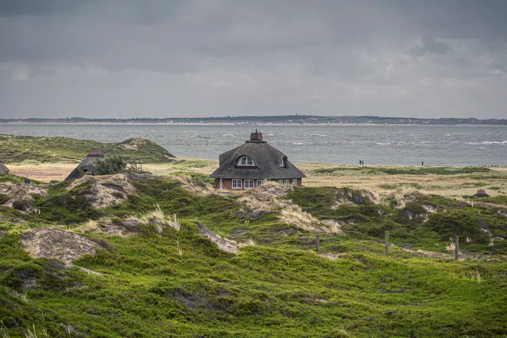 Grünland auf Sylt: Ein traditionelles Reetdachhaus steht malerisch zwischen sanften Dünen und dem weiten Meer im Hintergrund.