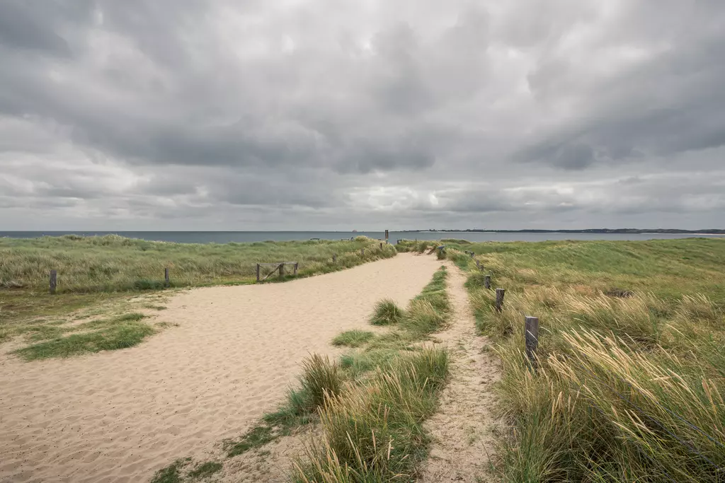 Strandweg auf Sylt: Ein sandiger Pfad führt durch grüne Dünenlandschaft zum Meer unter einem bewölkten Himmel.