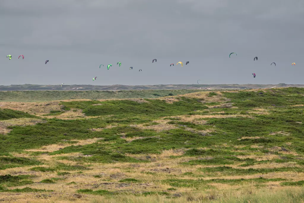 Strand auf Sylt: Eine weite, grüne Landschaft mit vielen bunten Kites im Himmel und einem bewölkten Hintergrund.