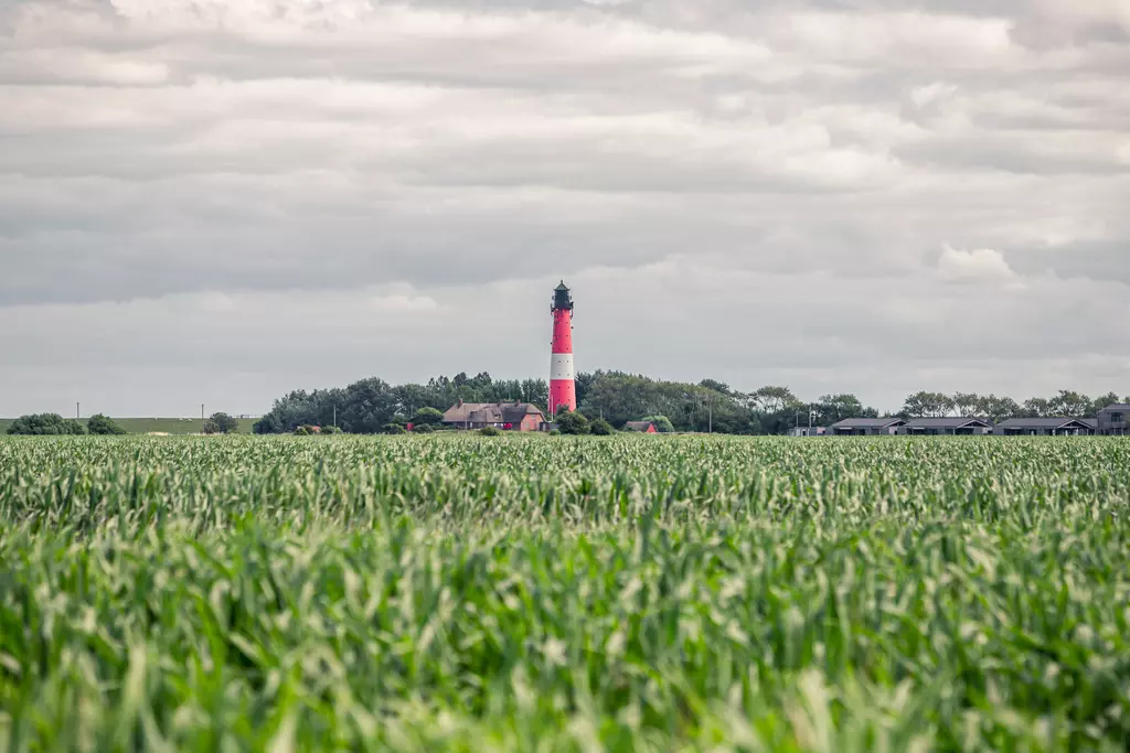 Grünes Feld mit hohem Gras im Vordergrund, im Hintergrund steht ein rot-weißer Leuchtturm unter einem bewölkten Himmel.