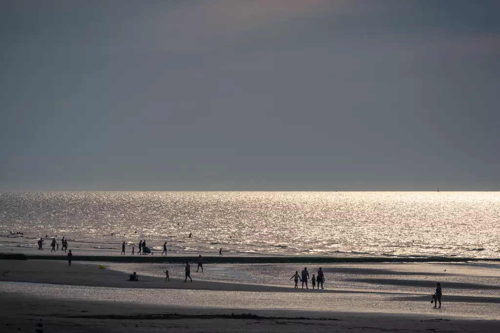 Silhouettes of people on the beach standing in shallow water as sunlight glimmers on the ocean surface.