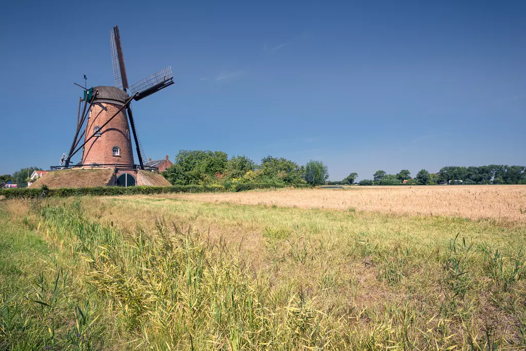 Ein historischer Windmühle steht nahe einem weiten, offenen Feld unter klarem Himmel, umgeben von Bäumen und Wiesen.