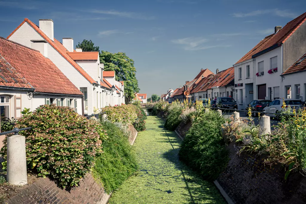 Ein schmaler Kanal mit grünem Wasser zwischen zwei Seiten von mit Häusern und Blumen gesäumten Straßen bei klarem Himmel.