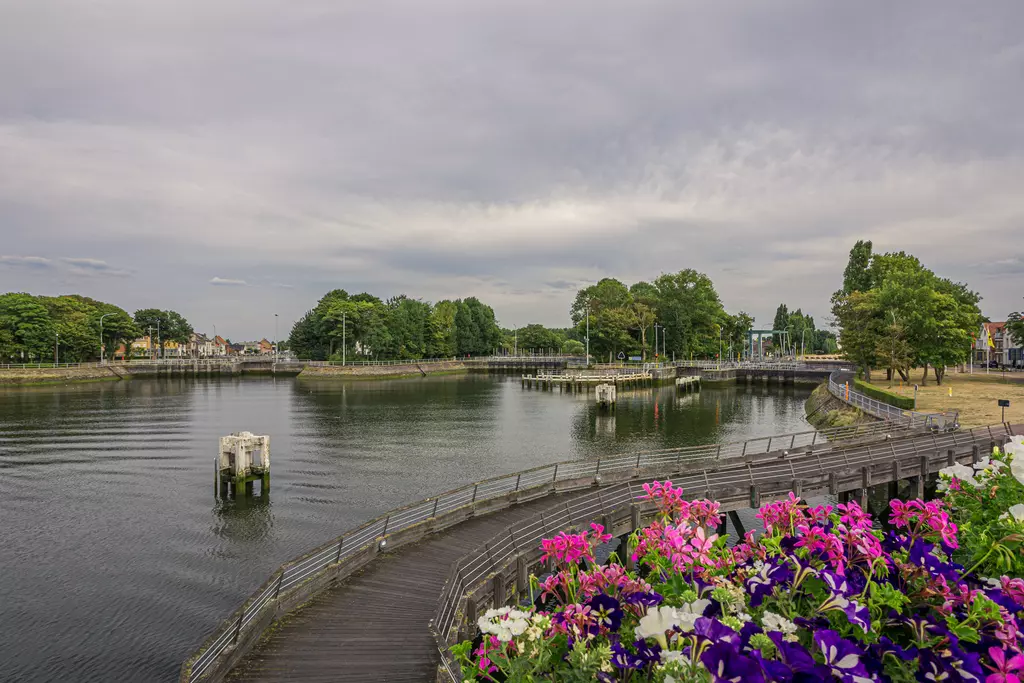 View of a calm waterway surrounded by trees and a wooden walkway, with colorful flowers in the foreground.