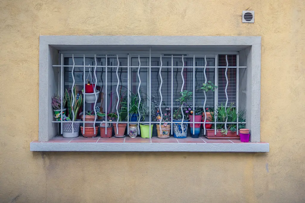 A window in La Ciotat adorned with various potted plants behind decorative iron bars.