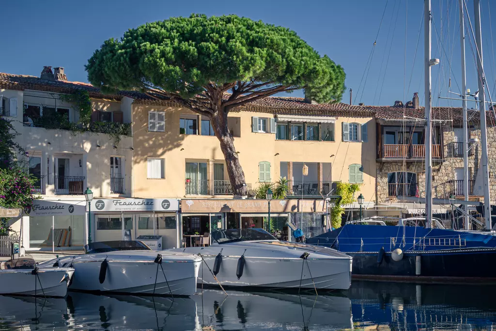 Ein großer, runder Baum steht über einem Gebäude mit bunten Fensterläden, vor dem Boote am Wasser vor Anker liegen.