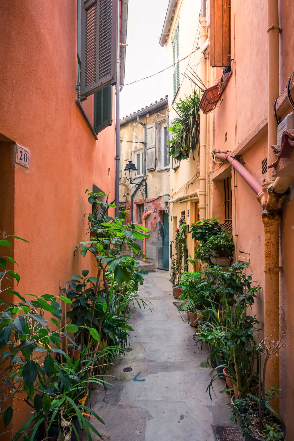 A narrow alley with colorful houses and potted plants lining the walls. Shuttered windows highlight the old charm.