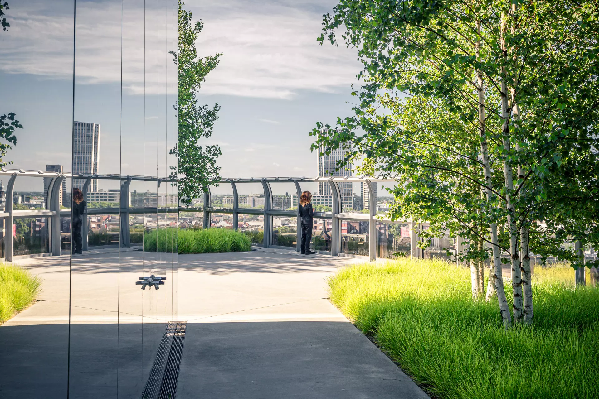 A gray paved area with green grass and birch trees, a person stands near a glass wall looking out over the city.