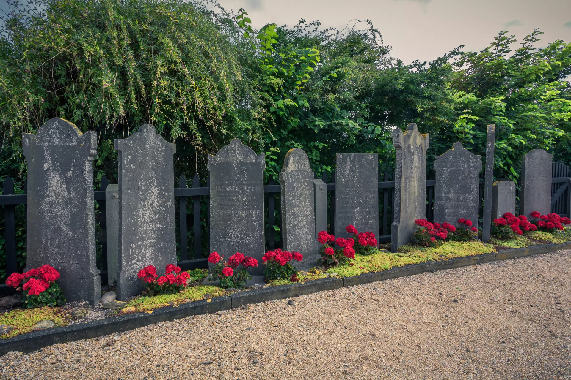 Gräber mit geschwungenen Steinen, umgeben von roten Blumen, stehen an einem Kiesweg vor üppigem Grün.