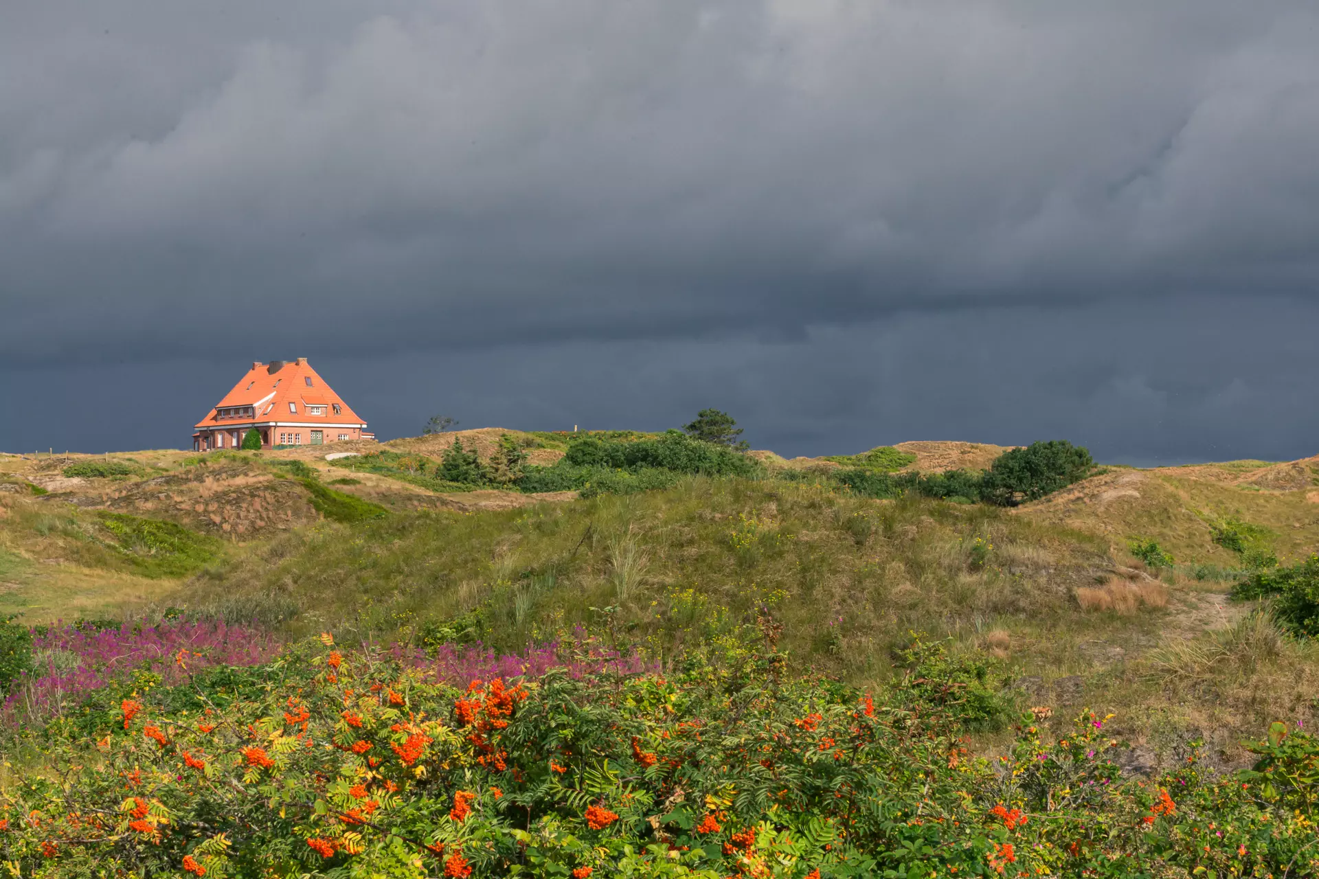 A gentle hilly landscape with colorful flowers in the foreground and an orange house against a dramatically cloudy sky.