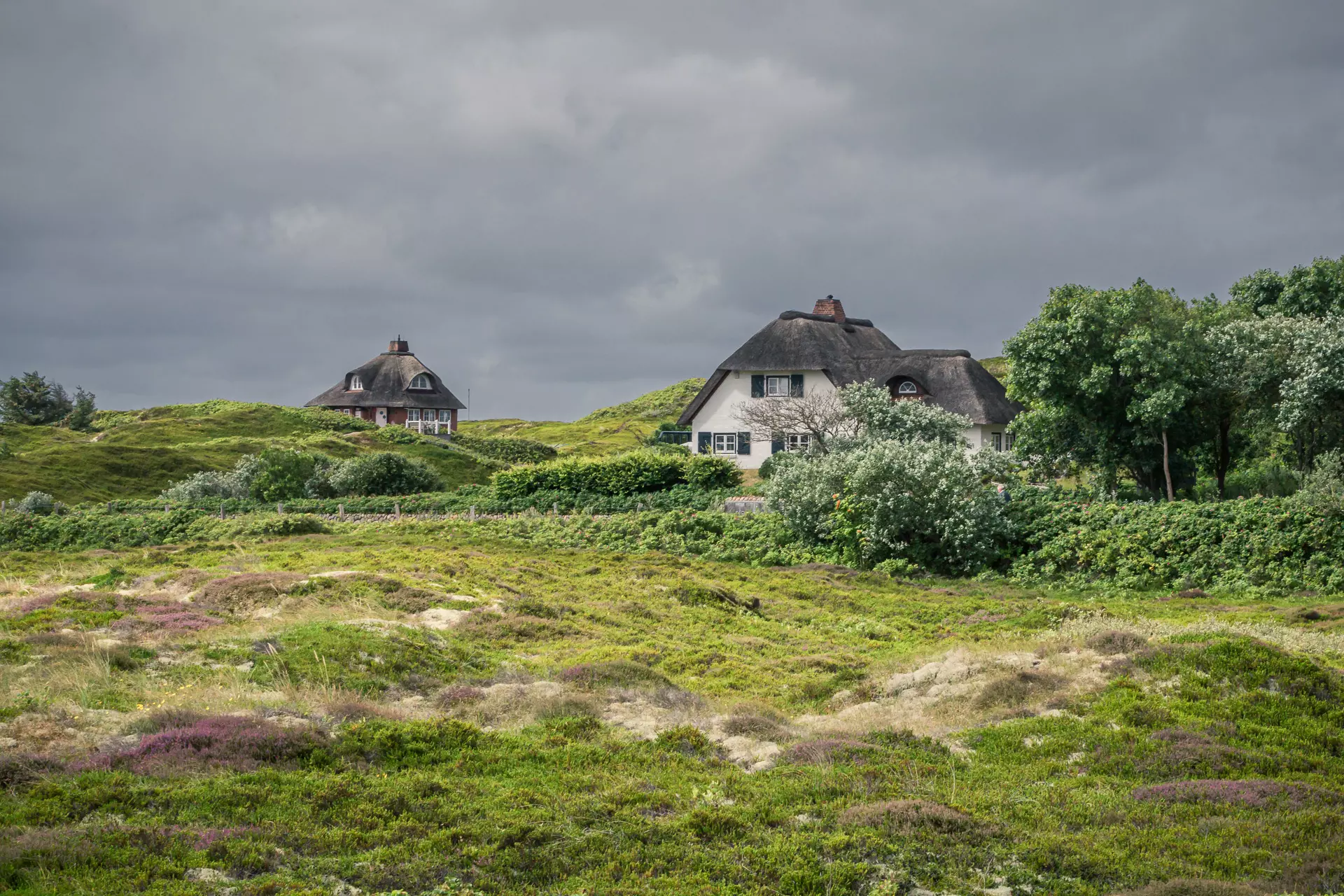 Grüne Hügel mit kleinen Häusern, umgeben von Büschel mit lila Pflanzen. Dunkle Wolken am Himmel sorgen für eine stimmungsvolle Atmosphäre.