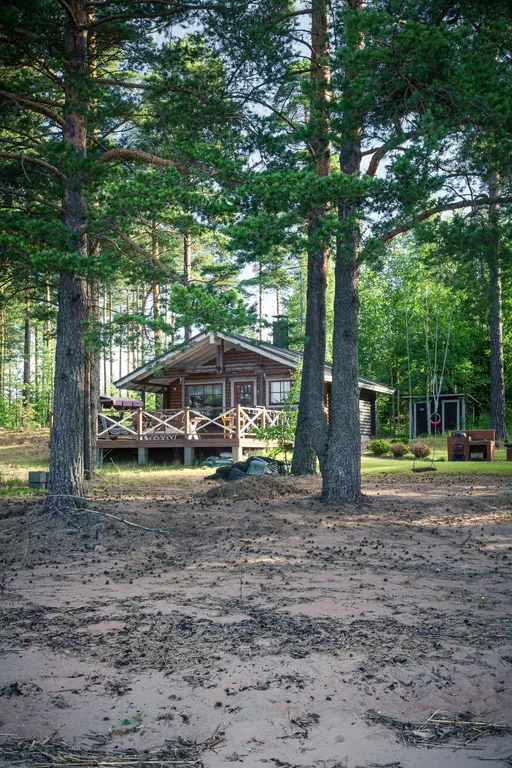 A wooden cabin nestled among tall trees in Virolahti, with a sandy area in the foreground and a porch overlooking the greenery.