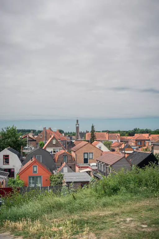 Rooftops of colorful houses in a small town, surrounded by trees and grass, under a cloudy sky.