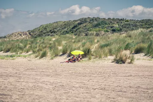 A group of people sits under a yellow beach umbrella on a sandy shore, surrounded by green grasses and dunes.