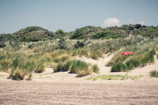 Green dunes with tall grass and a red and white beach umbrella at an uninhabited sandy beach.