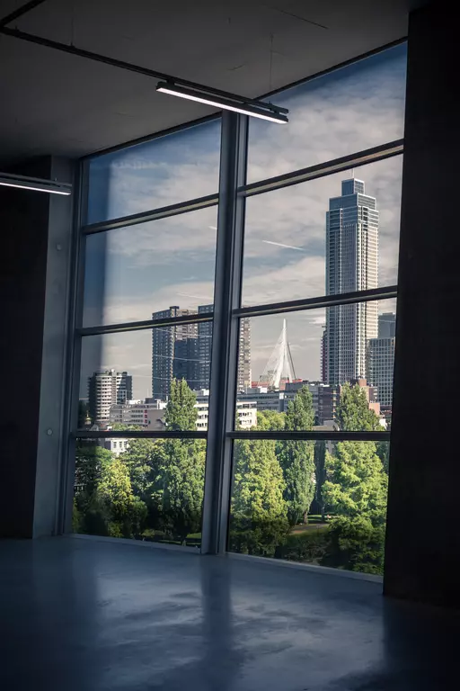 View through large windows of modern architecture and green trees in an urban setting.