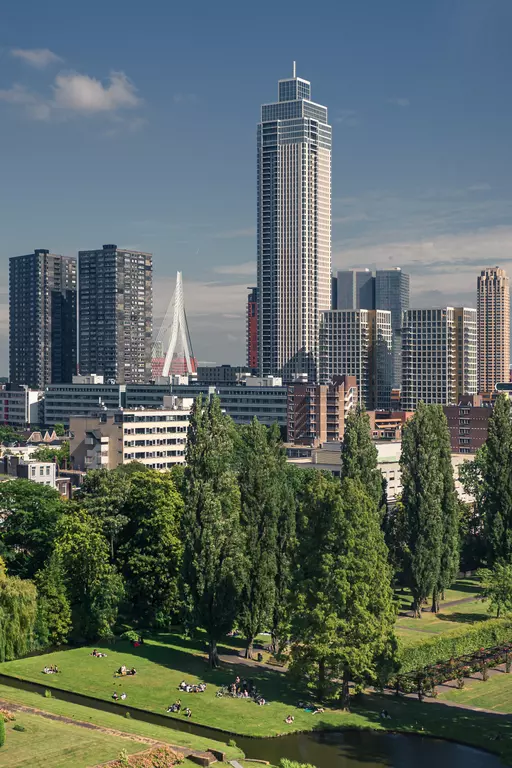 Lush tree lines frame a park where people sit on the grass. Tall modern buildings rise in the background.