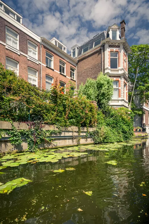 Green plants and lily pads float on the calm water of a canal, surrounded by historic buildings and a blue sky.