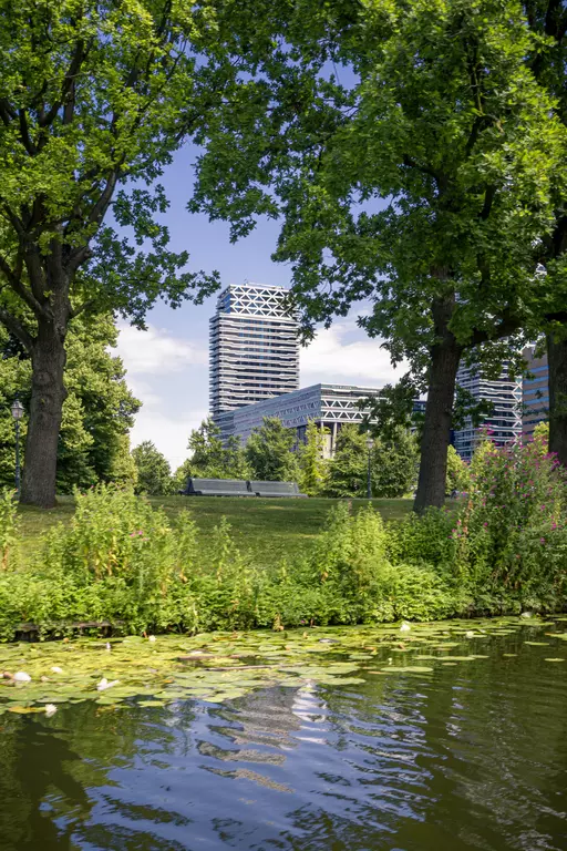 Dense green trees frame a lawn with modern buildings in the background, while a calm pond with lily pads is visible in the foreground.