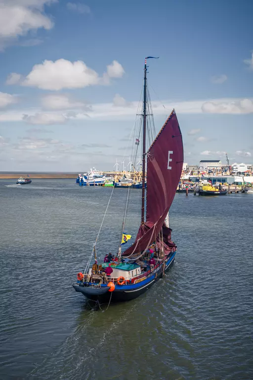 Harbor in Harlingen: A traditional sailing ship with a purple sail glides gently through the water, surrounded by boats and a harbor.