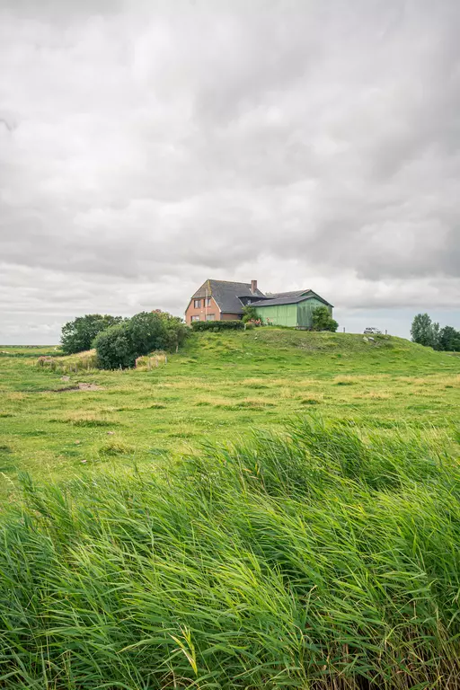 Grüne Wiese mit hohem Gras, darauf ein Haus mit roter Fassade und grünem Anbau, Wolkenhimmel im Hintergrund.