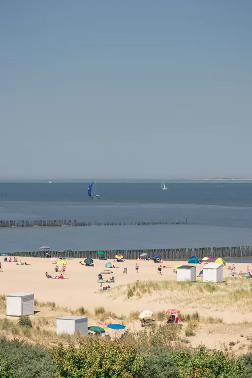 A sunny beach with sun loungers and colorful umbrellas, sailboats visible on the water in the distance.